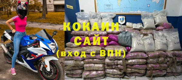 mdpv Богородицк