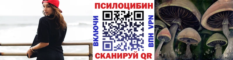 Галлюциногенные грибы Psilocybine cubensis  Шенкурск 