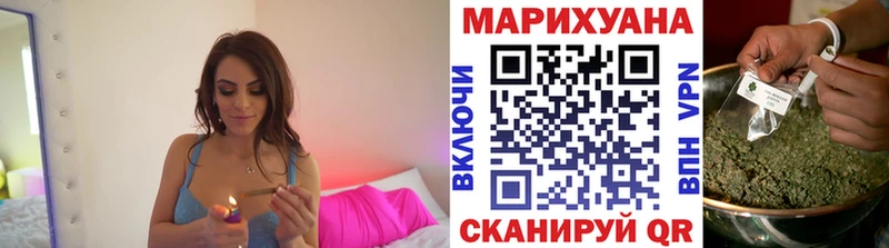 Каннабис планчик mega tor Шенкурск
